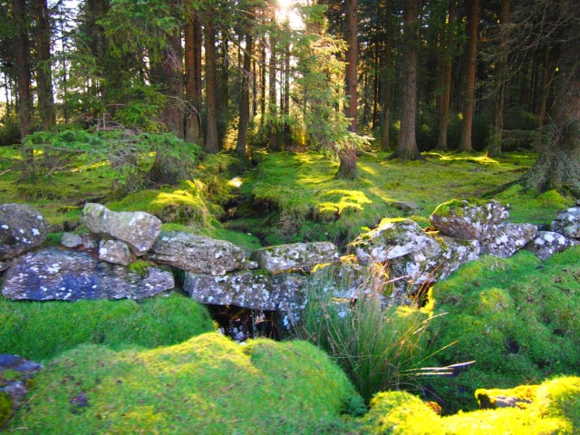 Dartmoor