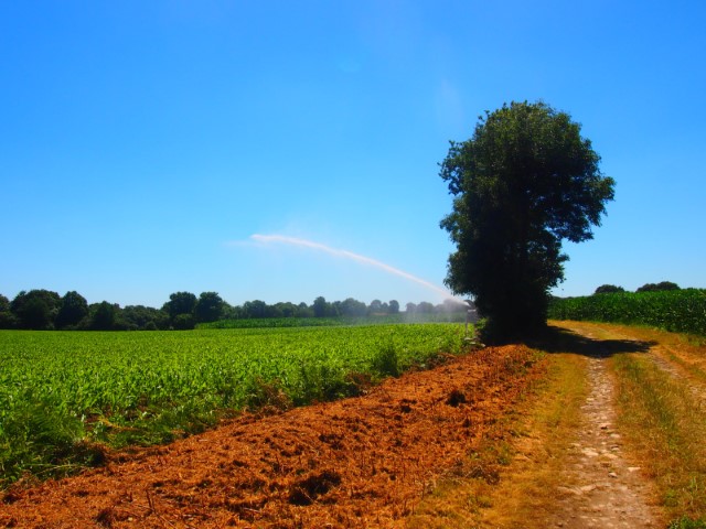 France