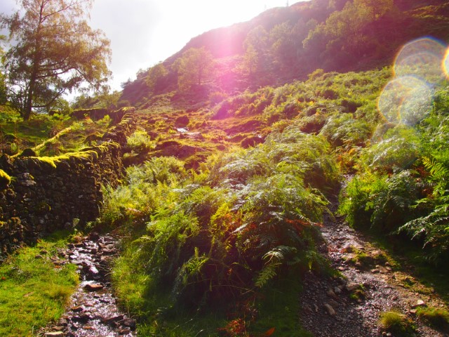 Lake District
